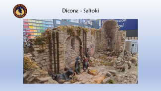2023 Saltoki Dicona