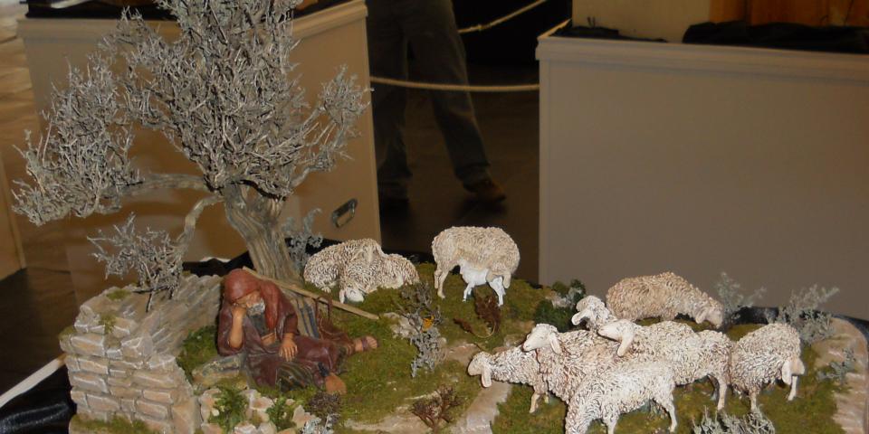 Pastor con ovejas
