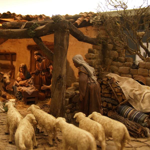 Pastores con ovejas van a adorar al niño