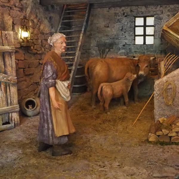 Mujer mayor ocupándose del ganado