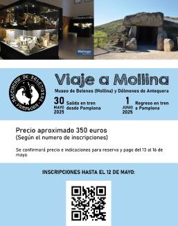 Cartel viaje a Mollina